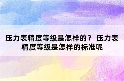 压力表精度等级是怎样的？ 压力表精度等级是怎样的标准呢